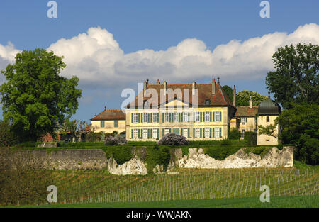 Domaine du Château de Vullierens, Schweiz Banque D'Images