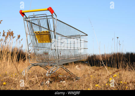 Rendez-vous à la forêt Panier 9 fois concept nature Banque D'Images
