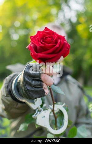 En plein air, de près, la main d'un homme dans les gants de cuir et des menottes, s'étend et donne une fleur rose rouge Banque D'Images