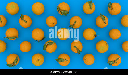 Mise à plat de l'arrière-plan une série d'oranges sur un fond bleu, image 3D rendu. Concept d'aliments sains. Banque D'Images