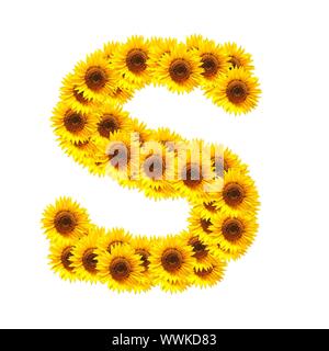 Alphabet de fleurs et de numéros avec des tournesols isolé sur fond blanc Banque D'Images