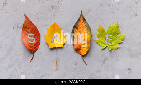 Quatre différentes feuilles colorées avec des lettres sur fond gris Banque D'Images