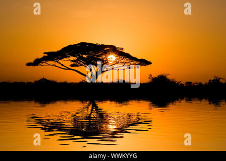 Beau lever de soleil de l'Afrique reflète sur le lac, avec l'afficheur acacia sur le parc naturel d'Amboseli, au Kenya. Banque D'Images