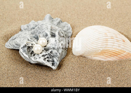 Pearl Earrings et deux obus sur le sable Banque D'Images