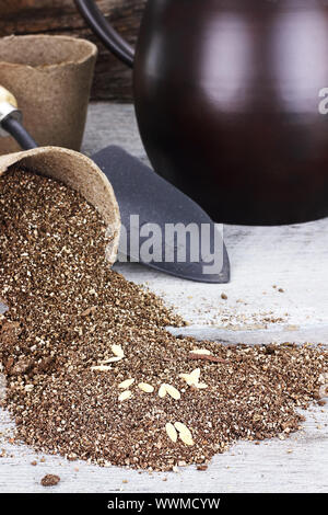 Graines et terreau de répandre à partir d'un pot de tourbe biodégradable avec une truelle et arrosoir en arrière-plan. Shallow DOF avec focus sélectif sur les semences. Banque D'Images