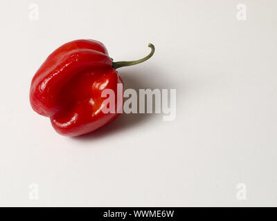 Piment habanero Banque D'Images