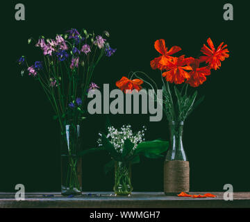 Bouquet de fleurs de pavot rouge, un bouquet de lys blancs sur la vallée et un bouquet de fleurs de jacinthes en vases de verre sur fond noir Banque D'Images