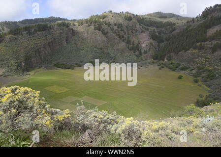 Caldera de los Marteles, Gran Canaria Banque D'Images