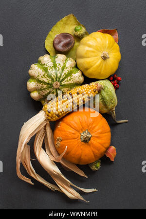 Les citrouilles, les rafles de maïs, glands, feuilles et baies sur fond sombre Banque D'Images
