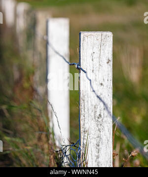 Poteau de clôture en bois blanc Banque D'Images