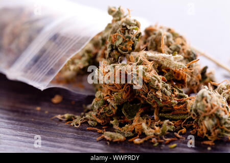 Cannabis Marijuana fleur en petit sac drogue Banque D'Images