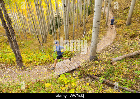 Sentier des hommes courir à travers une forêt de trembles (Populus tremuloides) avec la couleur de l'automne et de feuilles mortes à Vail Mountain Resort, Colorado. Banque D'Images