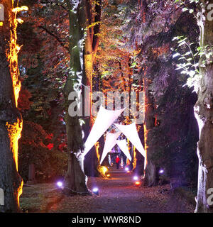 Cimetière illuminé Westfriedhof pendant l'événement Stadtlichter, Unna, Ruhr, Allemagne Banque D'Images