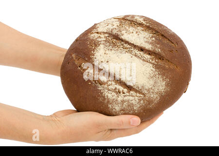 Women's Hands holding miche de pain, isolé sur fond blanc Banque D'Images