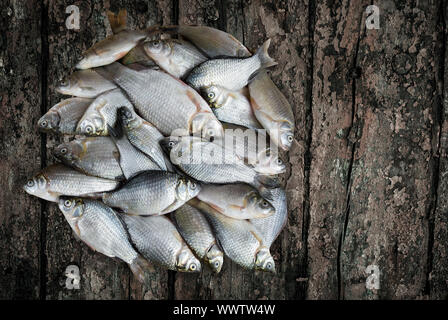 Une petite rivière de poissons à la surface de la table. Banque D'Images