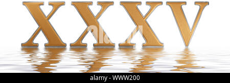 Le chiffre romain XXXV, quinque et triginta, 35, trente-cinq, reflétée sur la surface de l'eau, isolé sur blanc, 3D render Banque D'Images