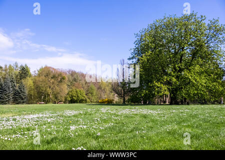 Parc Paysager de Degenershausen Banque D'Images