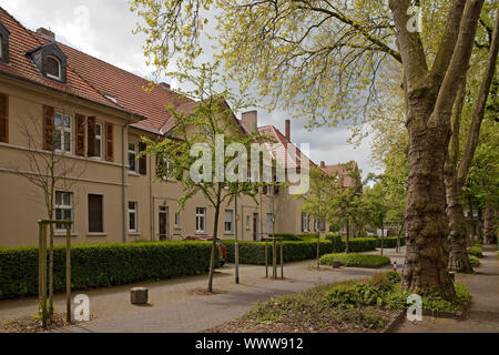 Jardin de ville et zone résidentiel de mineurs Lohberg, Dinslaken, Ruhr, Allemagne, Europe Banque D'Images