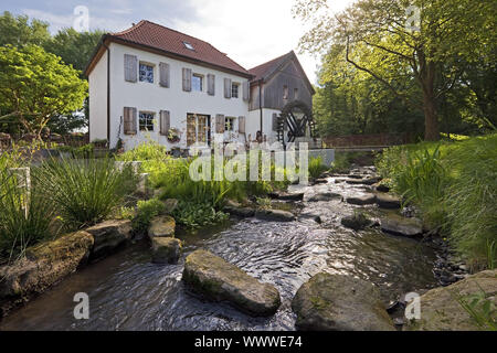 Aumuehle Moersbach moulin à eau près de creek, Moers, Ruhr, Rhénanie du Nord-Westphalie, Allemagne, Europe Banque D'Images