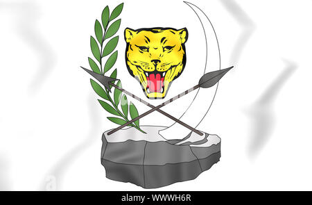 République démocratique du Congo (1997-1999). 3D Illustration. Banque D'Images