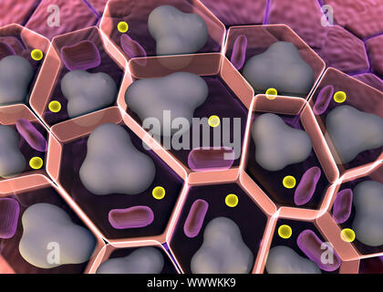 Groupe de cellules vivantes sous microscope, haute qualité de rendu 3D de cellules, le cholestérol dans les cellules d'un champ, de cellules, de structure cellulaire, la division des droits de Banque D'Images