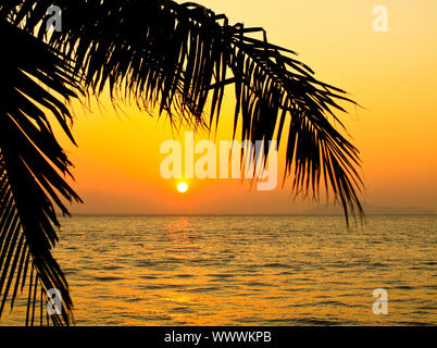 Coconut palm tree silhouette sur le ciel et la mer au lever du soleil Banque D'Images