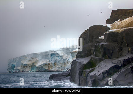 Falaises, glaciers et champs de neige Rudolf island Banque D'Images