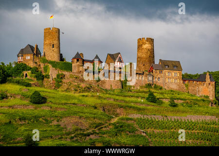 Château de Thurant et vignes au-dessus de la moselle près de Alken, Allemagne. Banque D'Images