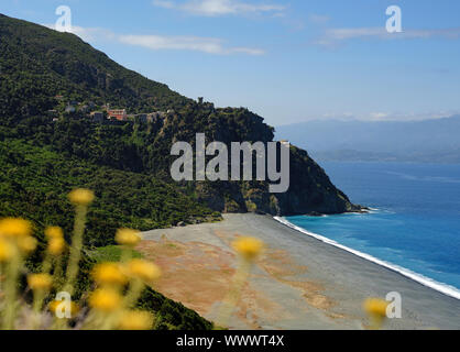 Nonza village perché et plage paysage dans le Cap Corse Haute Corse France avec des fleurs jaunes à l'avant-plan. Banque D'Images