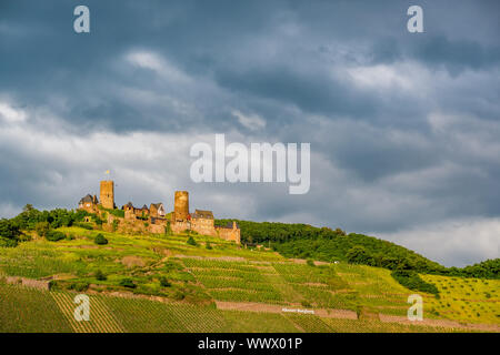 Château de Thurant et vignes au-dessus de la moselle près de Alken, Allemagne. Banque D'Images