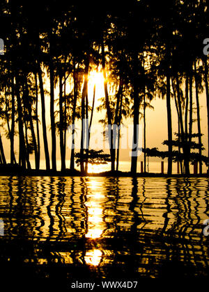 Coucher du soleil à la piscine avec le soleil briller à travers les palmiers Banque D'Images