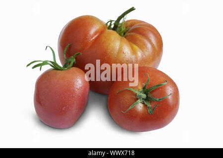 3 tomates mûres sur un fond blanc Banque D'Images