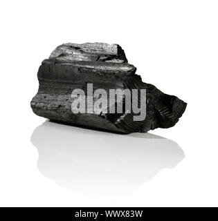 Un morceau de charbon de bois sur fond réfléchissant Banque D'Images