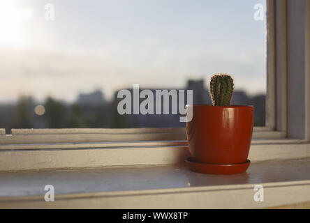 Lever du soleil dans une ville moderne. Le début de la journée. Cactus sur le rebord du bureau. Banque D'Images