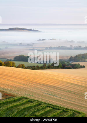 Belle brume matinale dérive sur le parc national des South Downs near Lewes Banque D'Images