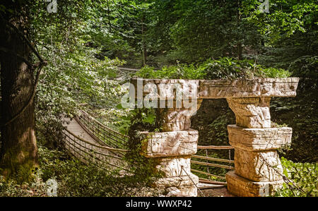 Petit pont suspendu de l'arboretum. Banque D'Images