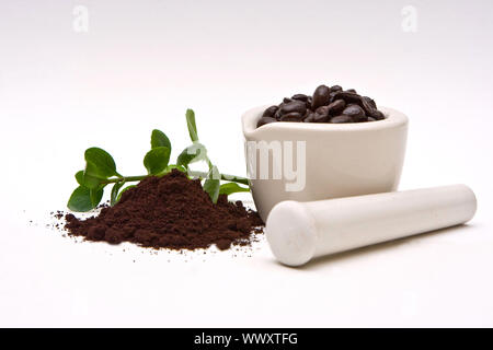 Un mortier avec des grains de café fraîchement torréfié et une pile de moudre le café avec quelques feuilles dans le dos sur un fond blanc Banque D'Images