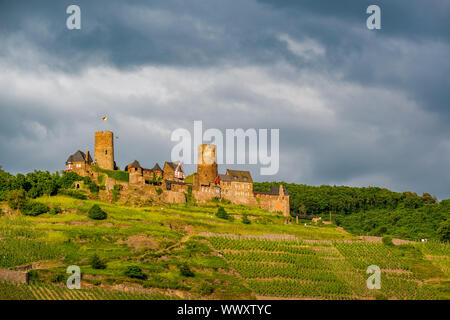 Château de Thurant et vignes au-dessus de la moselle près de Alken, Allemagne. Banque D'Images