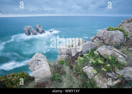 Urro del Manzano, Los Urros dans la Arnia côte près de Liencres village de Cantabria, ESPAGNE Banque D'Images