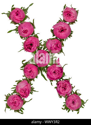 Lettre X Alphabet de fleurs de roses, isolé sur fond blanc Banque D'Images