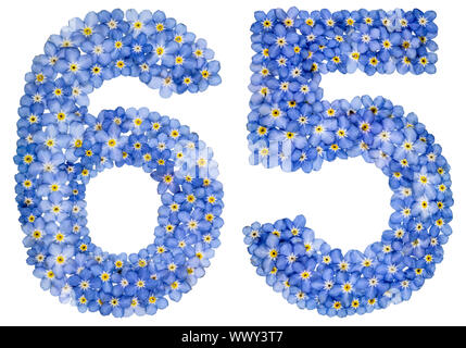 Chiffre arabe 65, 65 ans, de blue forget-me-fleurs pas Banque D'Images