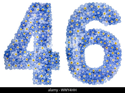 Chiffre arabe 46, quarante six, de blue forget-me-fleurs pas Banque D'Images