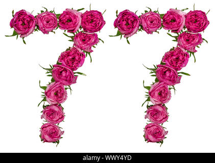 Chiffre arabe 77, soixante-dix-sept, de fleurs de rose, rouge isolé sur fond blanc Banque D'Images