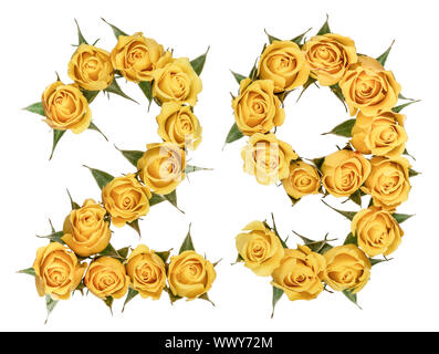 Chiffre arabe 29, vingt-neuf, de fleurs de rose, jaune isolé sur fond blanc Banque D'Images