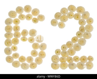 Chiffre arabe 62, soixante-deux, à partir de crème fleurs de chrysanthème, isolé sur fond blanc Banque D'Images
