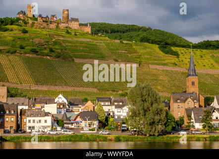 Château de Thurant et vignes au-dessus de la moselle près de Alken, Allemagne. Banque D'Images