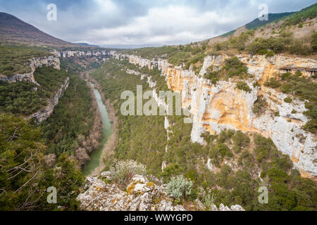 Point de vue de l'Èbre, Canyon près de Pesquera de Ebro, village région Paramos, Burgos, Espagne Banque D'Images