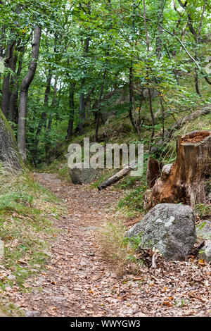 Sentier de randonnée dans les montagnes du Harz Banque D'Images