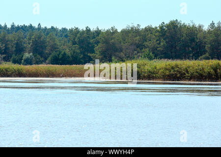 Iode d'été lac avec un effet thérapeutique grâce à la haute teneur en iode, Ukraine Banque D'Images