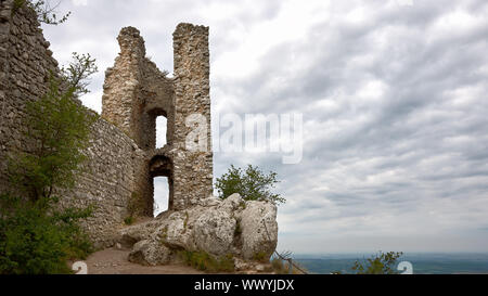 Vue des ruines Sirotci hradek Palava dans la région protégée en Moravie du sud. Destination touristique en République tchèque. Banque D'Images